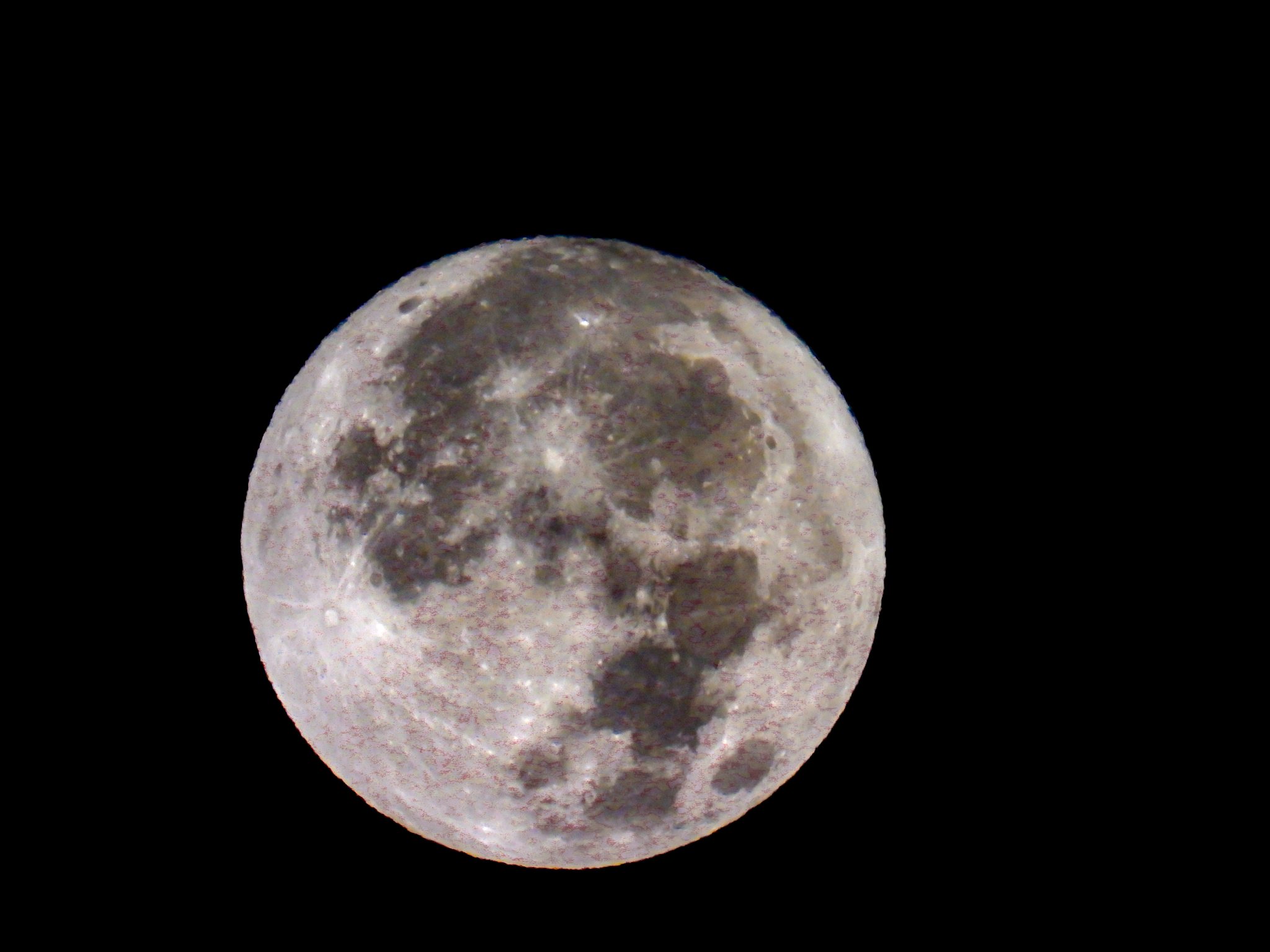 Moonlight Reflections